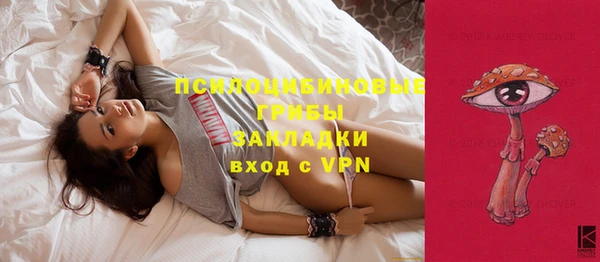 прущие крисы Няндома