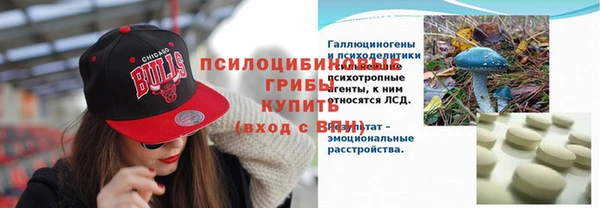 PSILOCYBIN Баксан